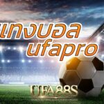 แทงบอลufapro