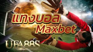 แทงบอล Maxbet