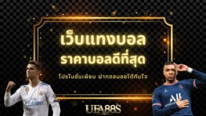 เว็บแทงบอลฟรี